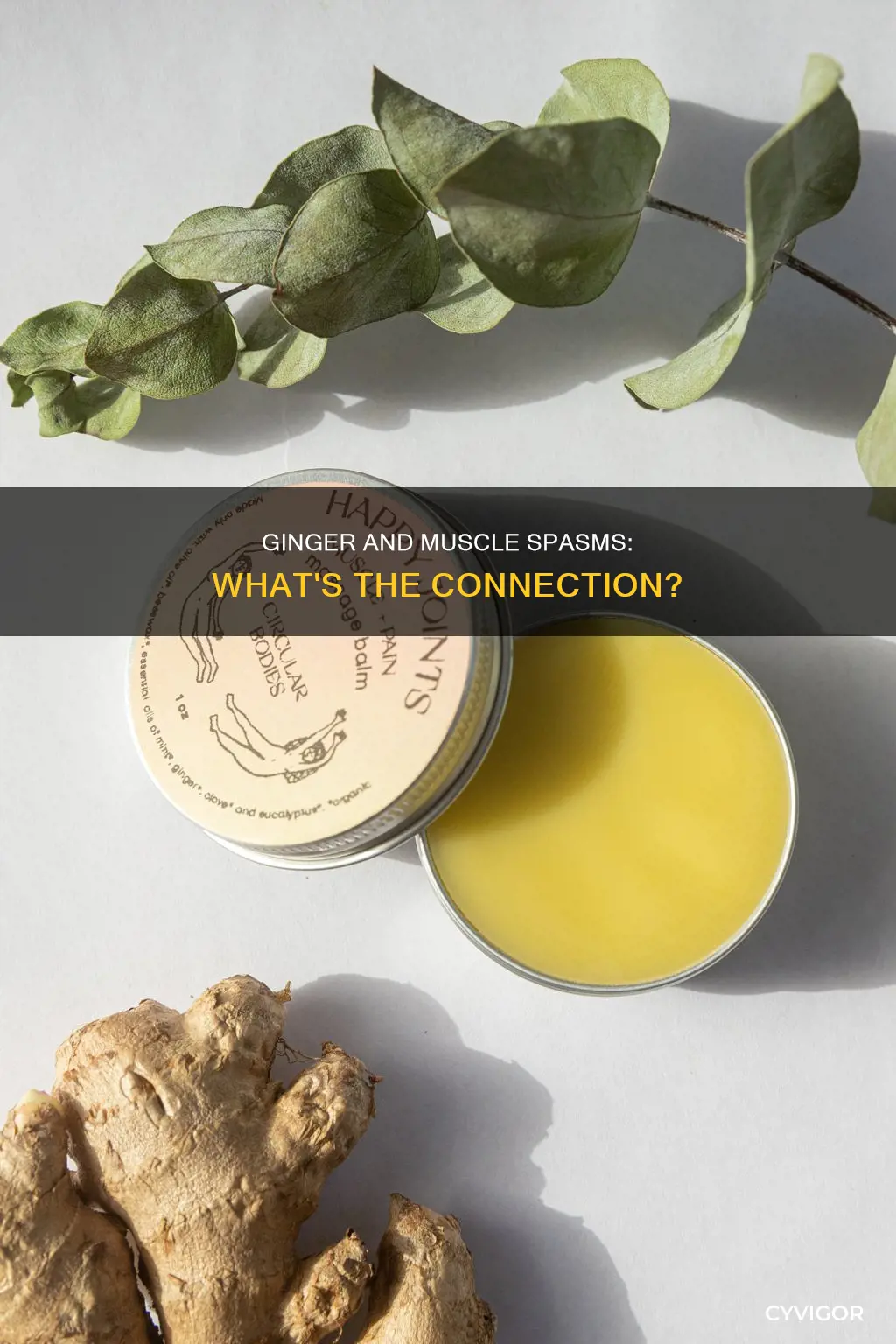 can ginger cause muscle spasms