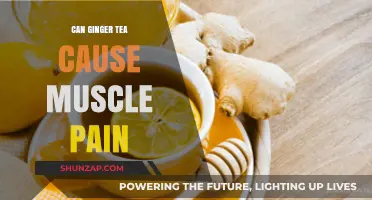 Ginger Tea and Muscle Pain: What's the Link?