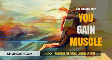 Ginseng for Muscle Gain: Fact or Fiction? Uncover the Truth