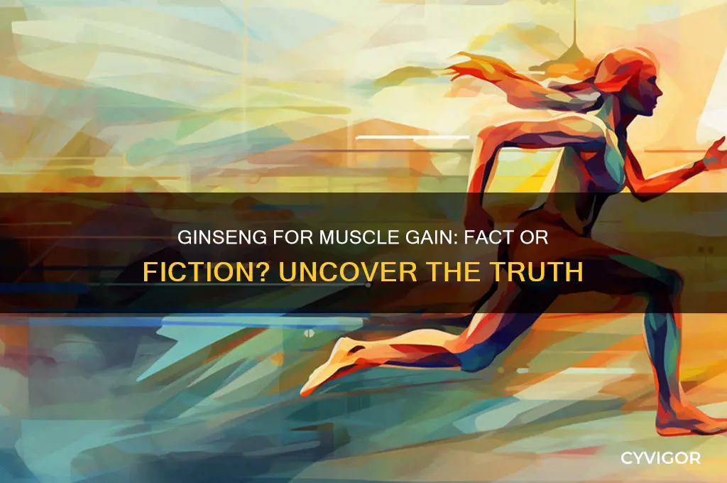 can ginseng help you gain muscle