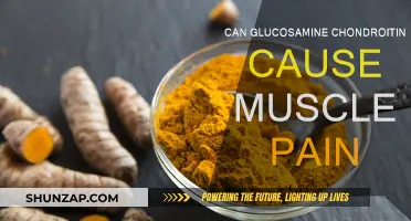 Glucosamine-Chondroitin: Muscle Pain Mystery