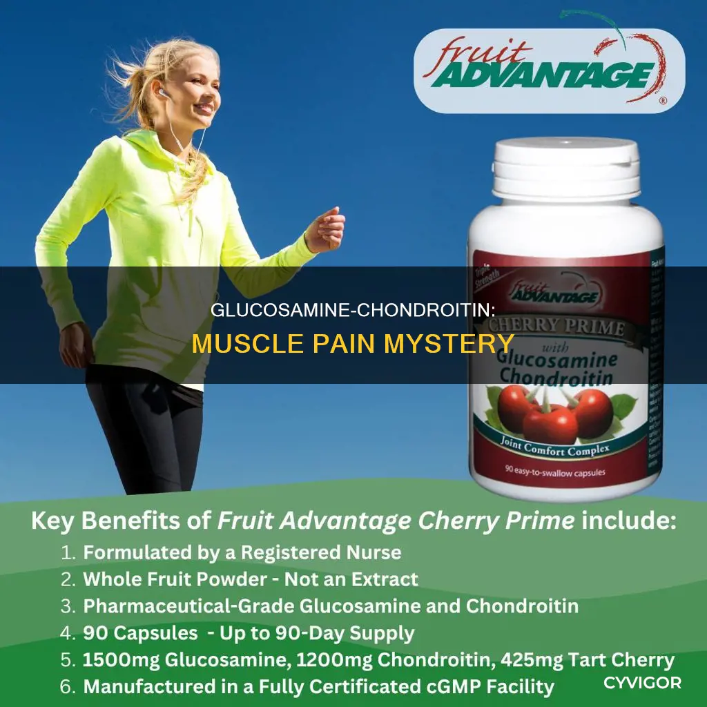 can glucosamine chondroitin cause muscle pain