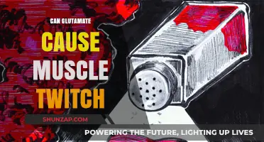 Glutamate and Muscle Twitch: What's the Link?