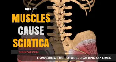 Glute Muscles: A Surprising Sciatica Cause?