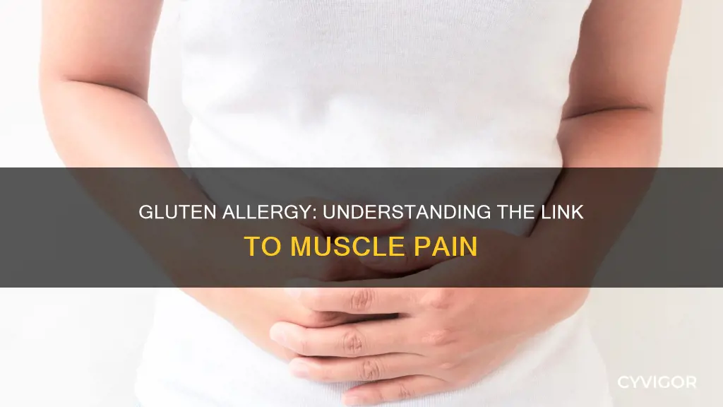can gluten allergy cause muscle pain