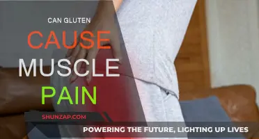 Gluten and Muscle Pain: Is There a Link?