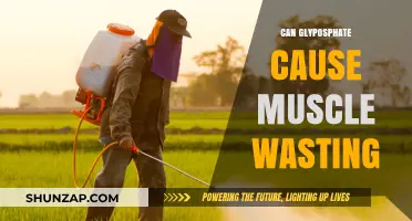 The Link Between Glyphosate and Muscle Wasting