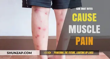 Gnat Bites: Unseen Muscle Pain Culprit?