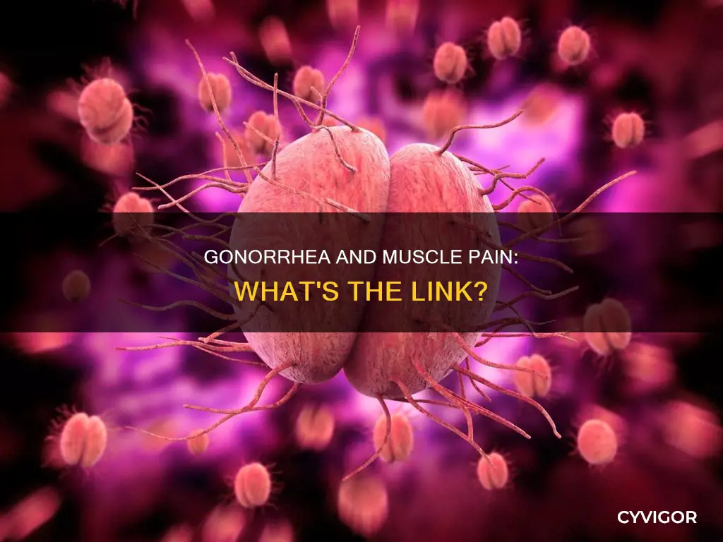 can gonorrhea cause muscle pain