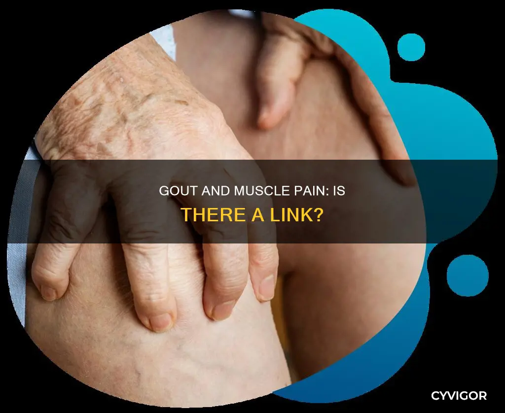 can gout cause muscle pain