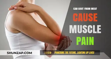 Gout and Muscle Pain: The Meat Connection