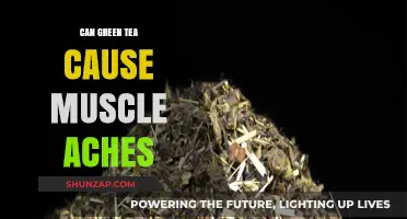 Green Tea and Muscle Aches: Is There a Link?