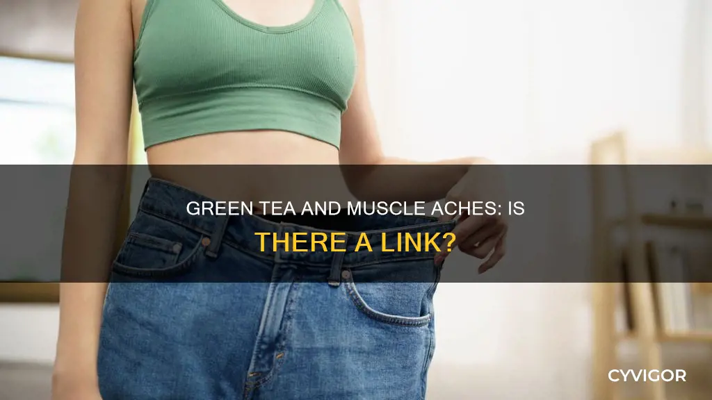 can green tea cause muscle aches