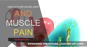 H. Pylori: Joint & Muscle Pain Culprit?