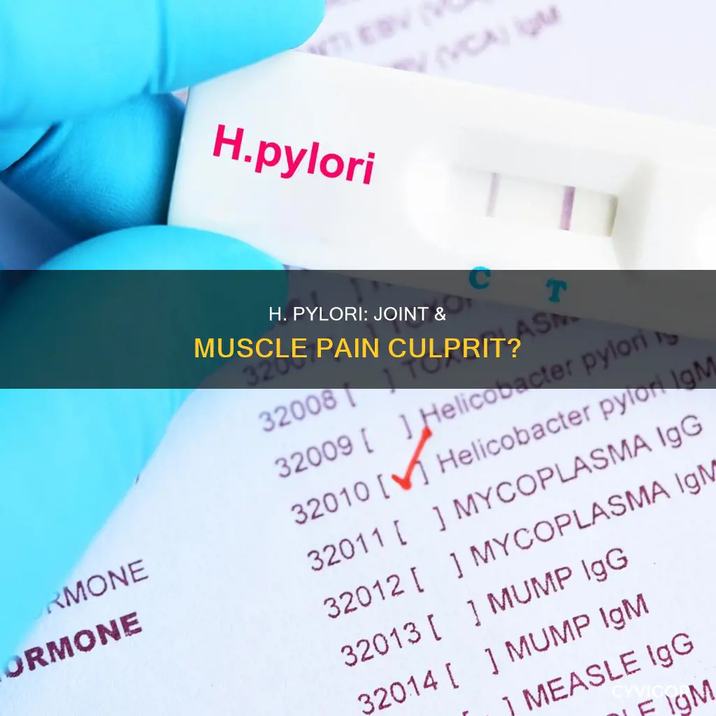 can h pylori cause joint and muscle pain