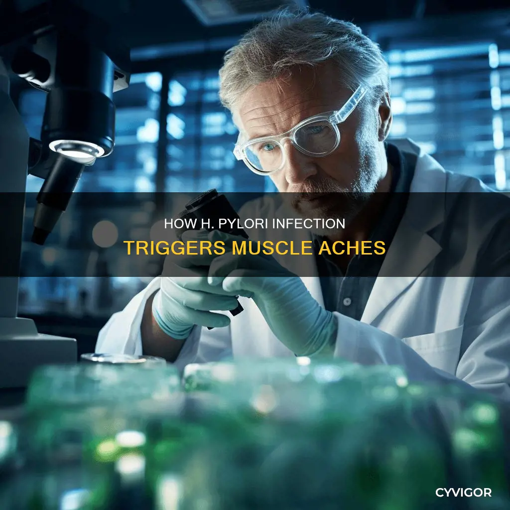 can h pylori cause muscle aches