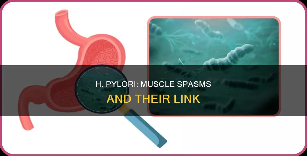 can h pylori cause muscle spasms
