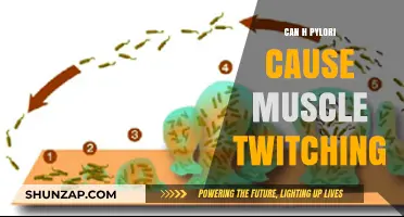 H. Pylori: Muscle Twitching and Other Symptoms