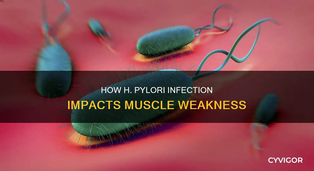 can h pylori cause muscle weakness