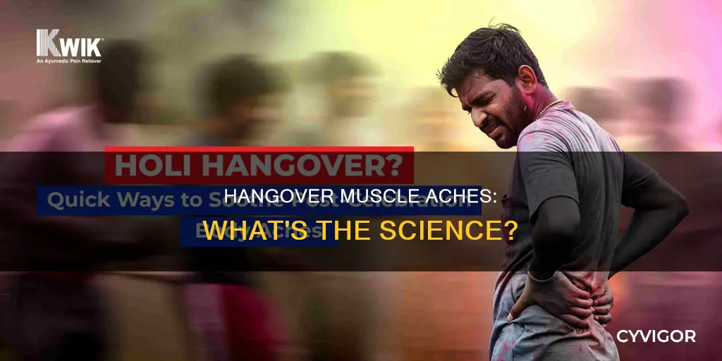 can hangover cause muscle aches