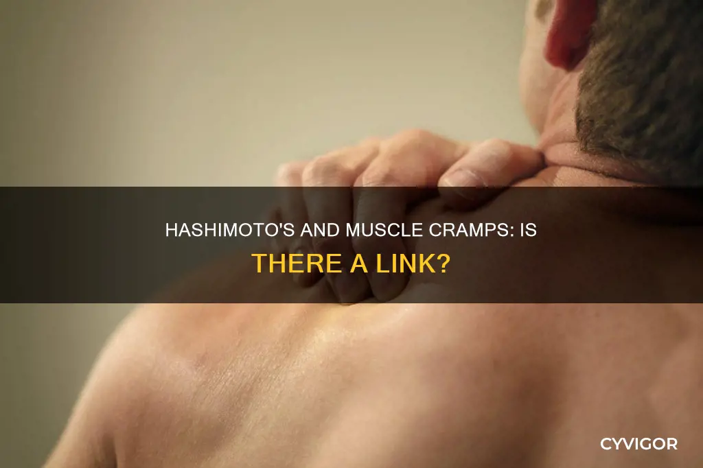can hashimoto