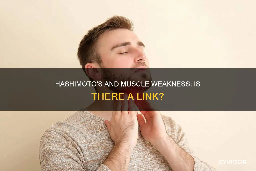 can hashimoto