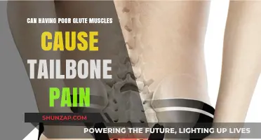 Glute Muscles and Tailbone Pain: Is There a Link?