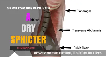 Pelvic Floor Muscles: Dry Sphincter and Discomfort