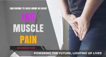 How Holding Urine Strains Leg Muscles and Causes Pain
