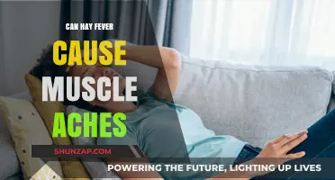 Hay Fever and Muscle Aches: Is There a Link?