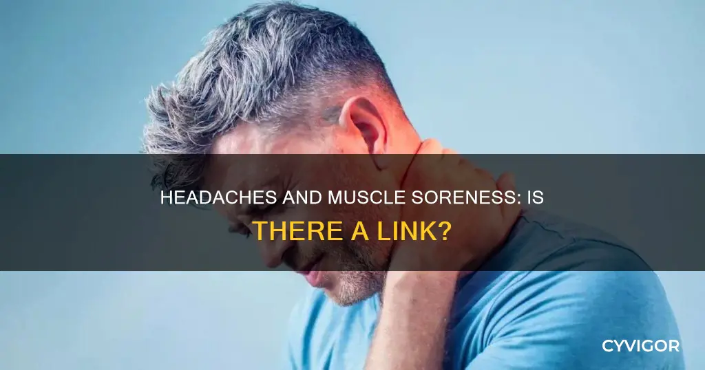can headaches cause muscle soreness