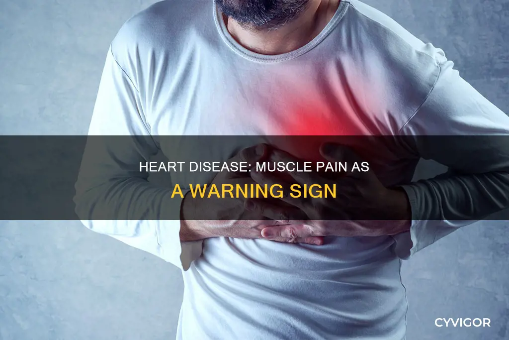 can heart disease cause muscle pain