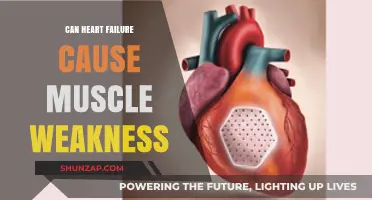 Heart Failure: Muscle Weakness and Fatigue