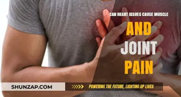 Heart Issues: Uncovering the Link to Muscle and Joint Pain