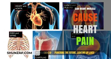 Heart Muscle Pain: Is It Possible?
