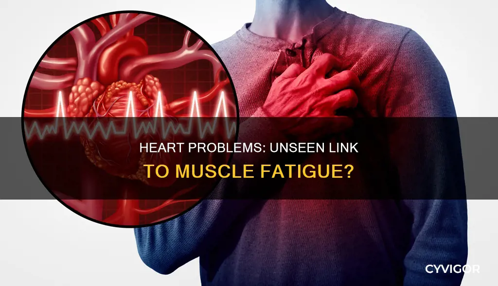 can heart problems cause muscle fatigue