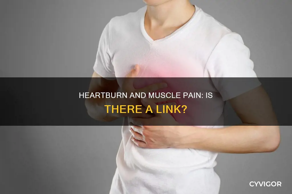 can heartburn cause muscle pain