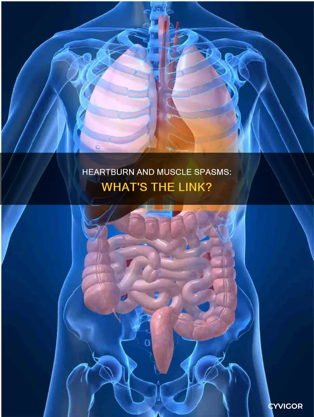 can heartburn cause muscle spasms