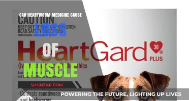 Heartworm Medicine: Muscle Loss Side Effect?
