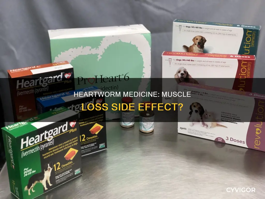 can heartworm medicine cause loss of muscle