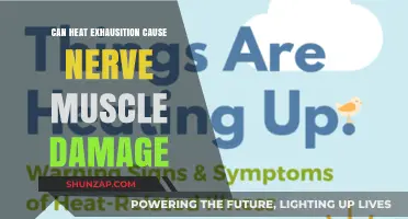 Heat Exhaustion: Nerve and Muscle Damage Risks