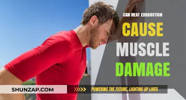 Heat Exhaustion: Muscle Damage and Recovery