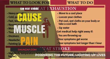 Heat Stroke: Muscle Pain and Other Symptoms