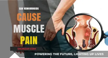 How Hemorrhoids Cause Muscle Pain and Discomfort