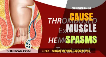 Hemorrhoids and Muscle Spasms: Is There a Link?