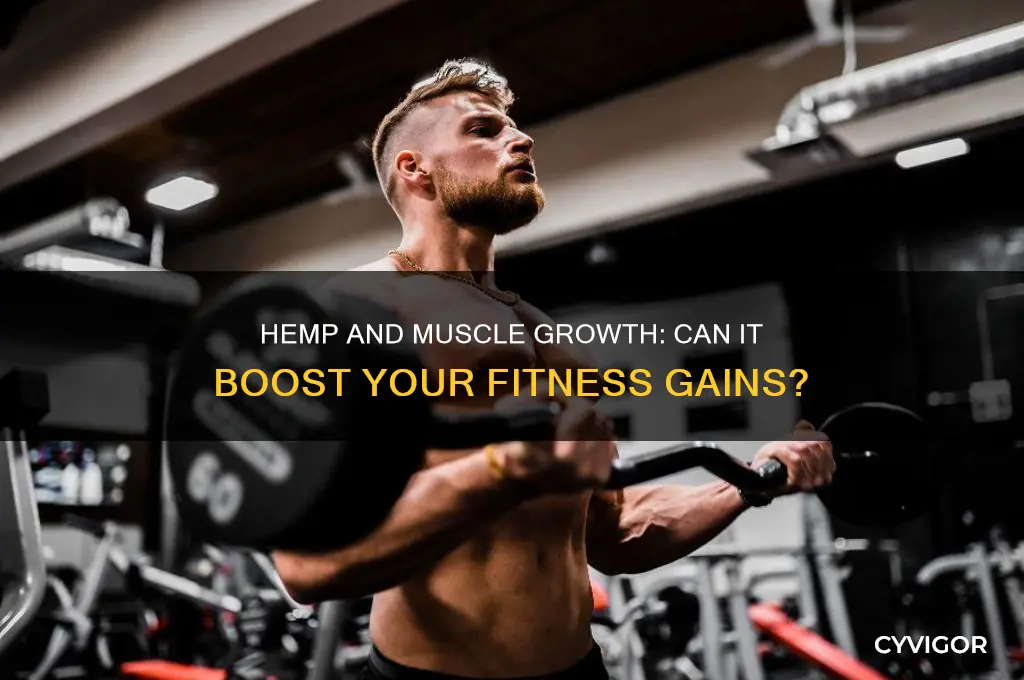 can hemp make you gain muscle