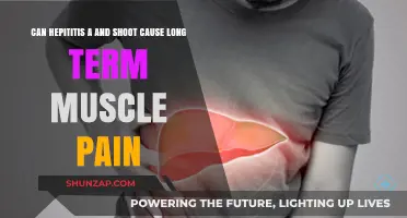 Hepatitis A and E: Long-Term Muscle Pain Explained