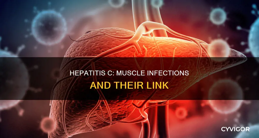 can hepititis c cause infections around muscles