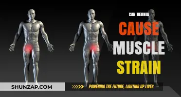 Hernias and Muscle Strains: What's the Link?