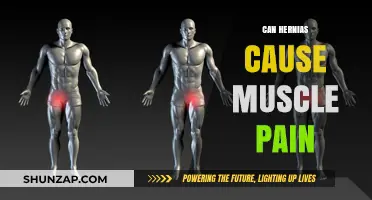 Hernias: Understanding the Link Between Muscle Pain and Injury